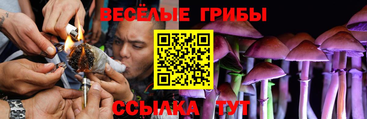 Псилоцибиновые грибы мицелий Стерлитамак