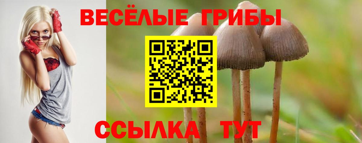 Стерлитамак  Галлюциногенные грибы ЛСД  Вход с VPN 